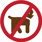 Pets are not allowed